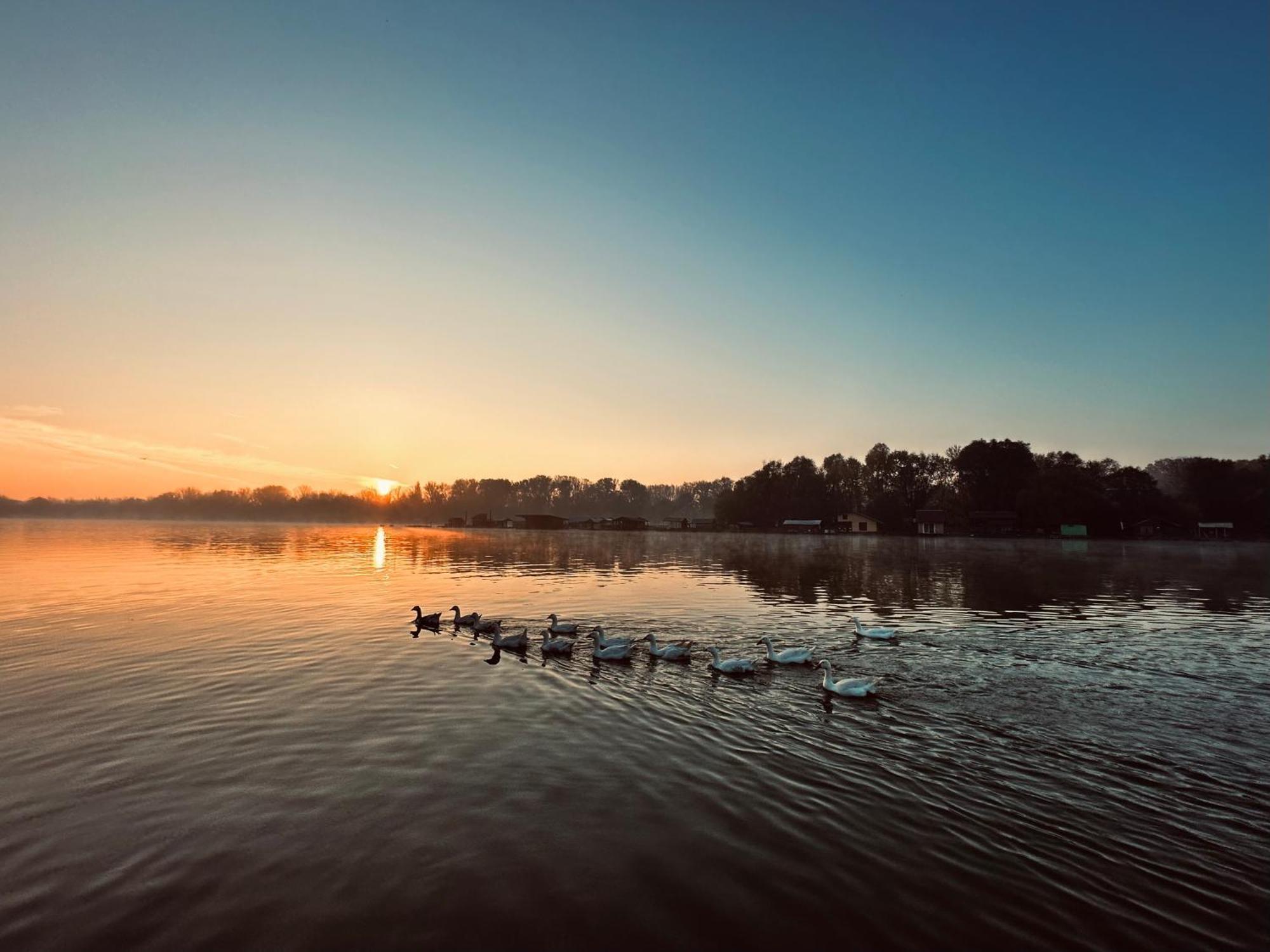 Swan Hotel Beograd Eksteriør billede