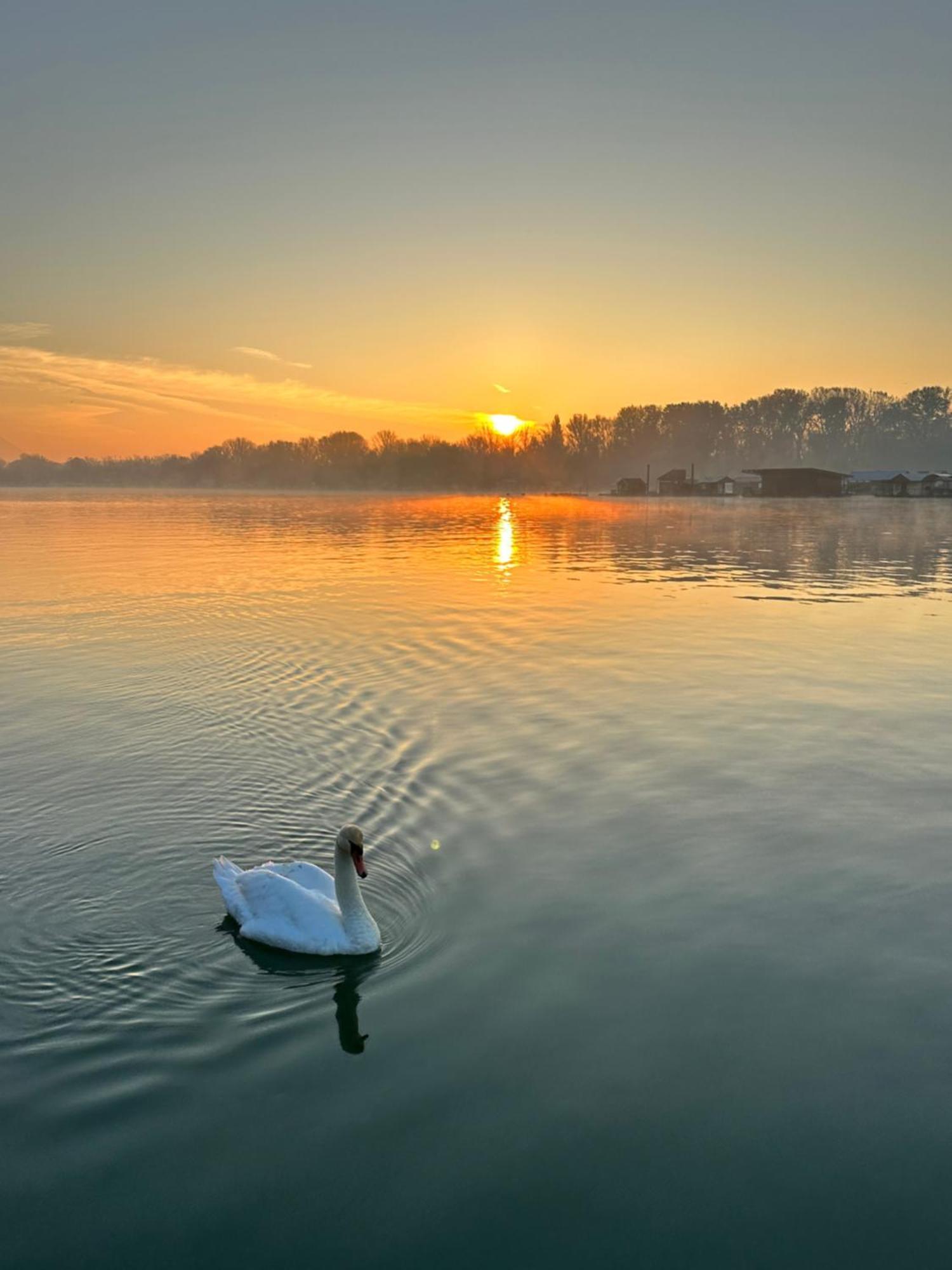 Swan Hotel Beograd Eksteriør billede